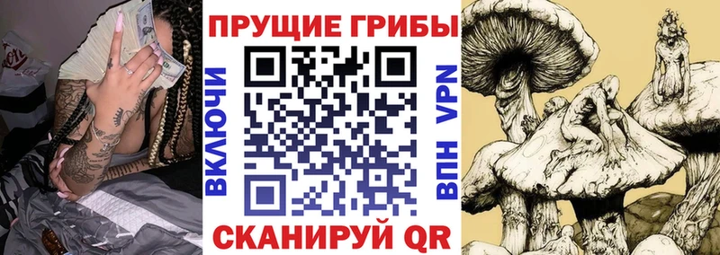 kraken как зайти наркотики Лаишево Псилоцибиновые грибы мицелий